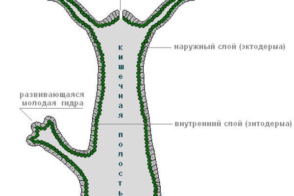 Кракен наркомагазин