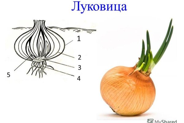 Кракен сайт зеркало рабочее на сегодня