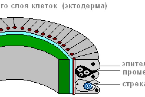 Кракен это гидра